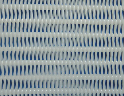 Polyester mesh allows for quick paper drying process